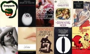 Emmanuelle_Story of the Eye_The Infernal Desire Machines of Doctor Hoffman_The Ripening Seed_Querelle_Sexus_Lolita_Delta of Venus_Story of O_Philosophy in the Boudoir